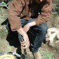 files/10598329_1472180923038002_1728367800_a.jpg