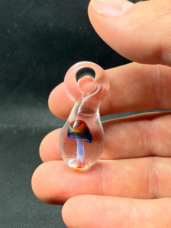 Mystery push mushroom