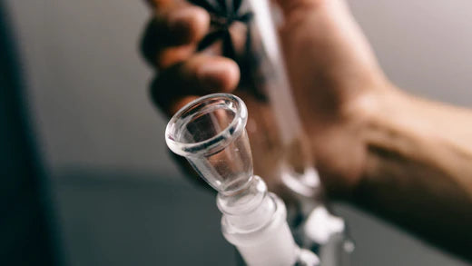The Differences Between Dab Rigs and Bongs